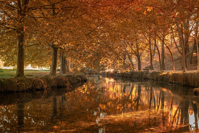 club juvenil Sevilla equipamiento deportivo deporte de base apoyo comunitario